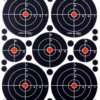 Crosman Visible Impact Targets